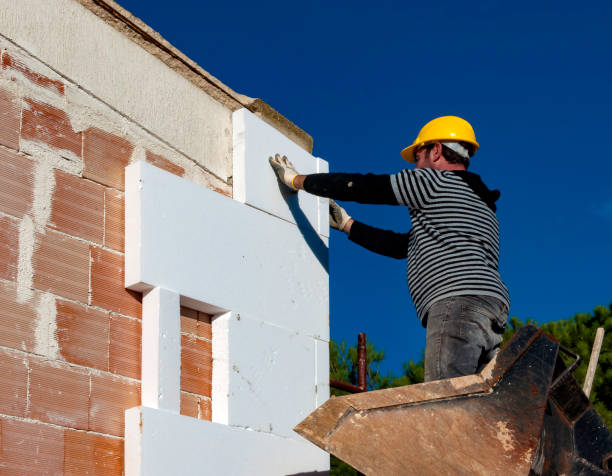 Best Insulation Maintenance and Repair in Columbia Heights, MN