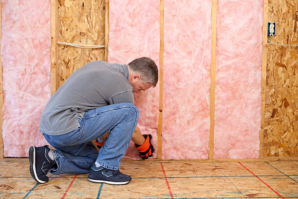 Best Energy Efficiency Solutions in Columbia Heights, MN